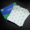 Membrana protectora para tatuajes 10pcs