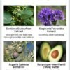 additions ICONSING Plant Extract Lift Kit paso 1 y 2
