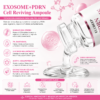 EXOSOME PRDN EXOSOME + PNDR AMPOLLAS 5X5ML